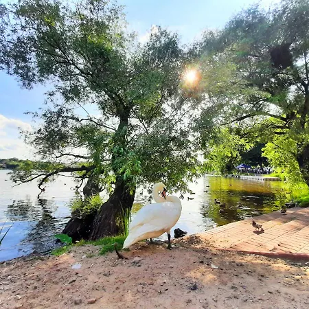 Aqua Marina - Lake, Nature And Relax! * 이아와